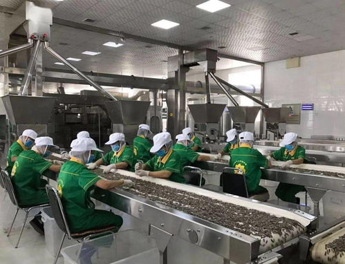 我市服装辅料销售工作成绩显著 互联网营销精准链接10万粉丝 全网曝光量突破1亿次